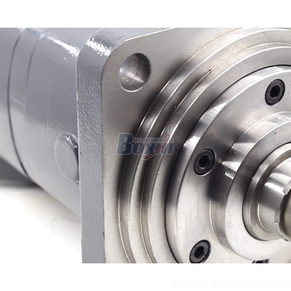 Factory Supply BM6 Cycloid Hydraulic Motor 245 cc/r 150 Lpm detail image